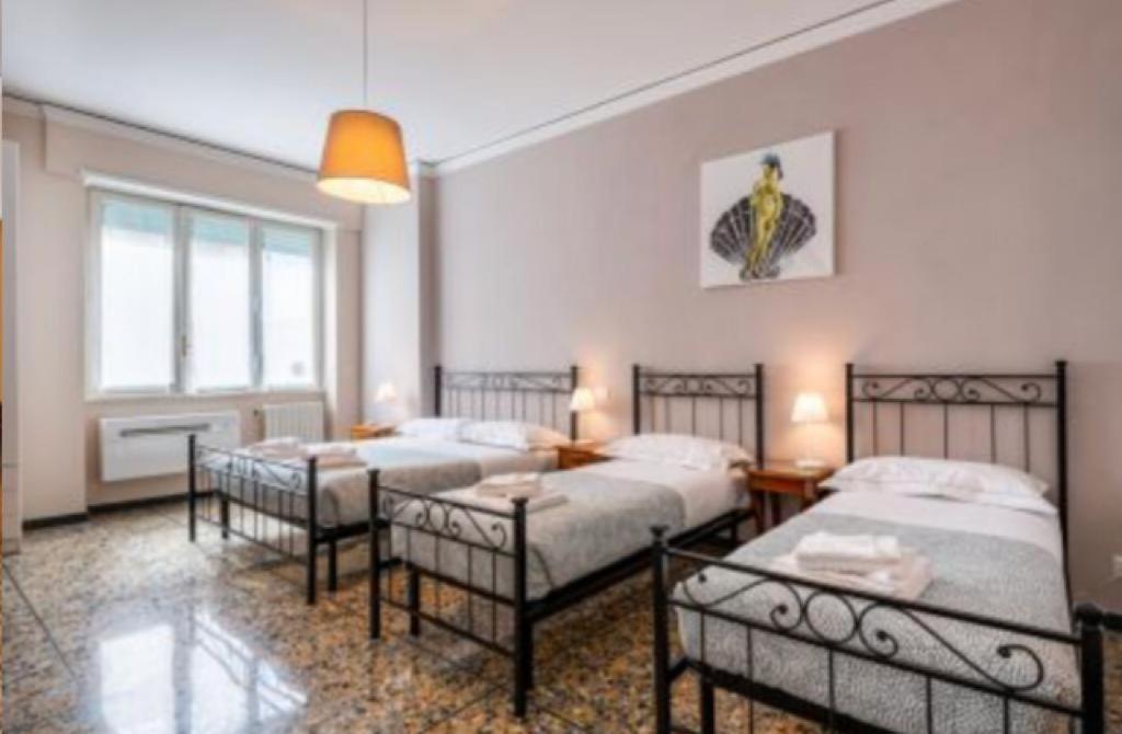 Ameli Guest house